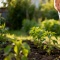 Три упражнения из цигун для дачников: как быстро снять усталость после огорода
