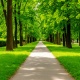 Аудиоспектакль Аудиоспектакль