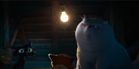 Pixar выпустит мультфильм «Гатто» о мафиозных котах в Венеции