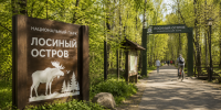 В «Лосином Острове» началась масштабная реконструкция инфраструктуры парка