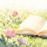 Фото Литературный фестиваль Книжный пляж