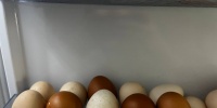 Как выбрать свежие яйца в магазине: три простых шага, которые защитят от испорченного продукта