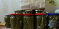 Огурцы по-берлински: семейный рецепт, который просят повторять снова