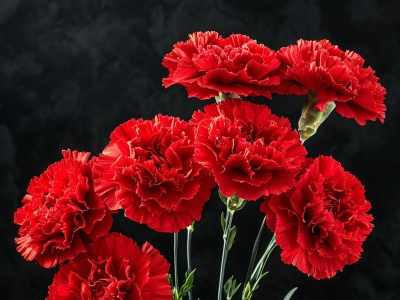 Фото Мероприятия, приуроченные ко Дню памяти жертв блокады Ленинграда