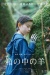 Барашек в ящике (Hako no Naka no Hitsuji)