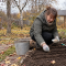 Осенний посев цветов помогает дачникам разгрузить весну