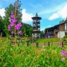 Фото Золотая долина