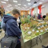 Фото Выставка и фестиваль Планета грибов