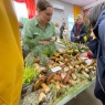 Фото Выставка и фестиваль Планета грибов