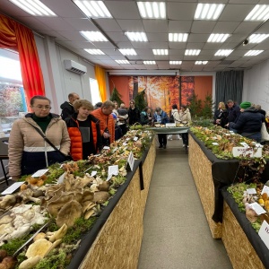 Выставка и фестиваль "Планета грибов"