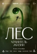 Лес. Хранитель жизни