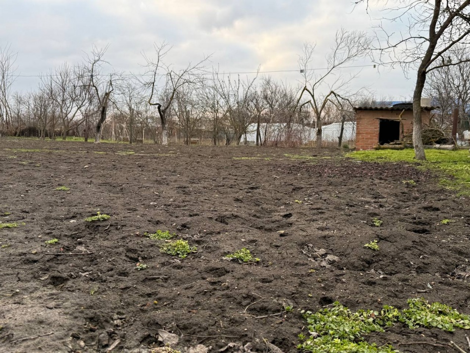 3 мешка на дачу в октябре — и грядки уже не «асфальт»: почва мягкая, сыпучая, а лопата скользит в землю
