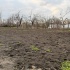 3 мешка на дачу в октябре &mdash; и грядки уже не &laquo;асфальт&raquo;: почва мягкая, сыпучая, а лопата скользит в землю