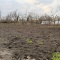 3 мешка на дачу в октябре — и грядки уже не «асфальт»: почва мягкая, сыпучая, а лопата скользит в землю